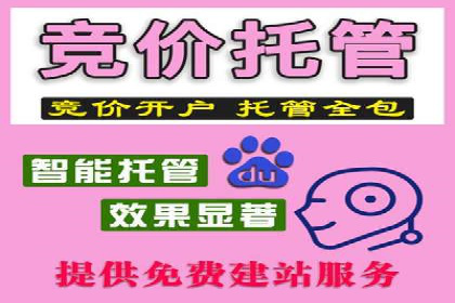 信息流广告投放策略：成功案例分享