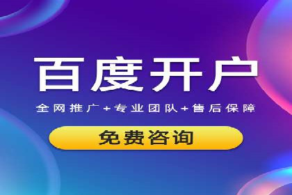 案例分析：打造高效竞价推广策略